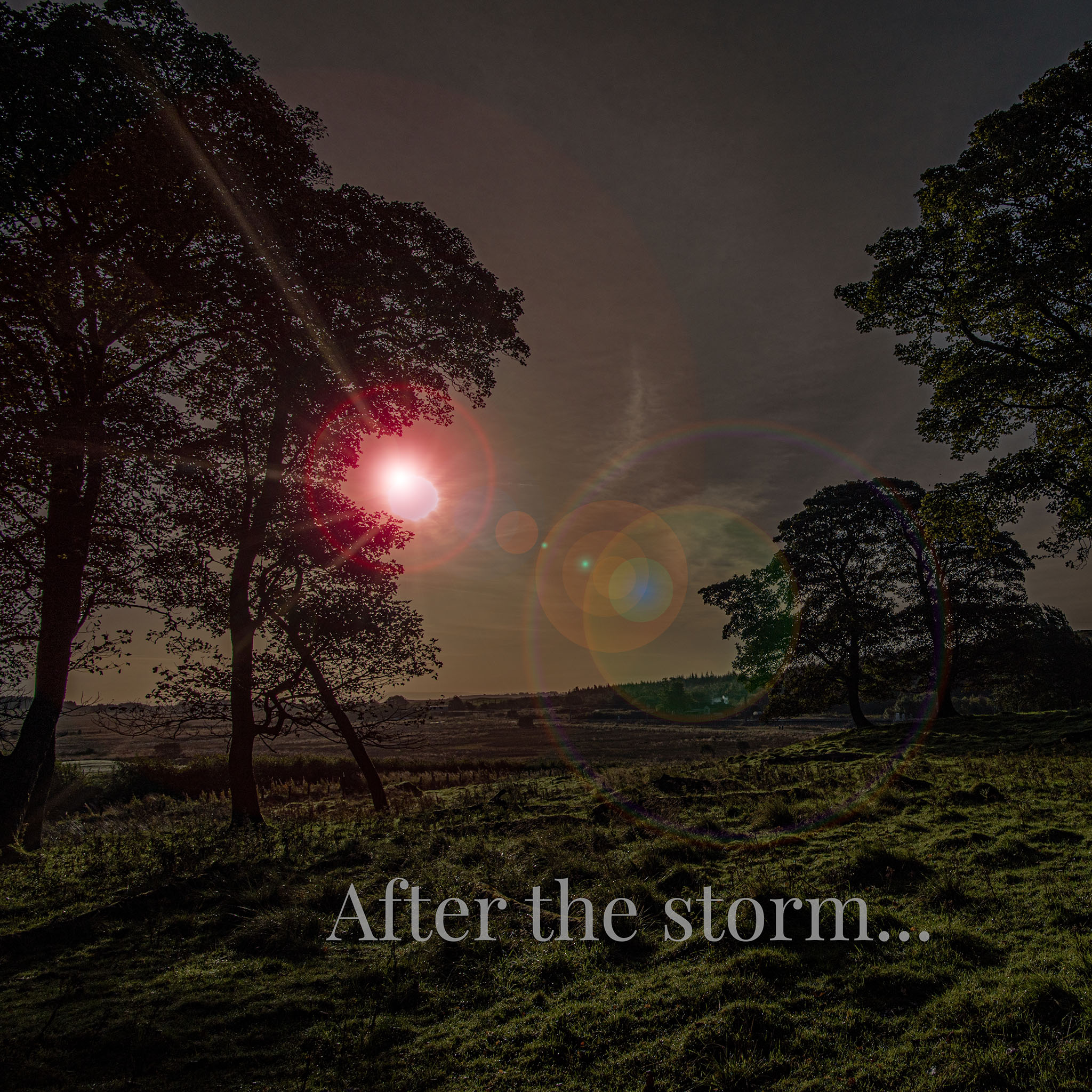 After the storm…