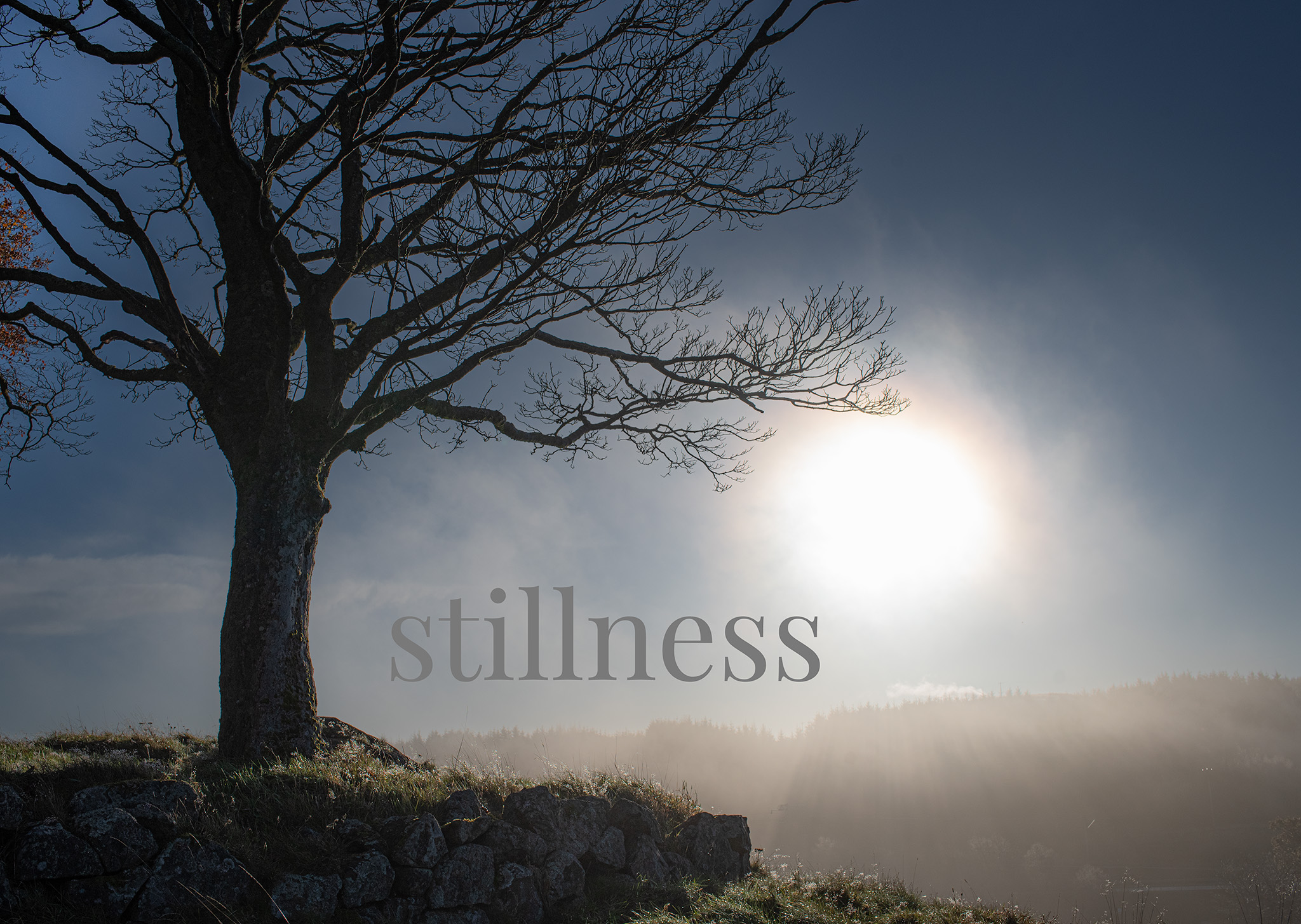 Stillness